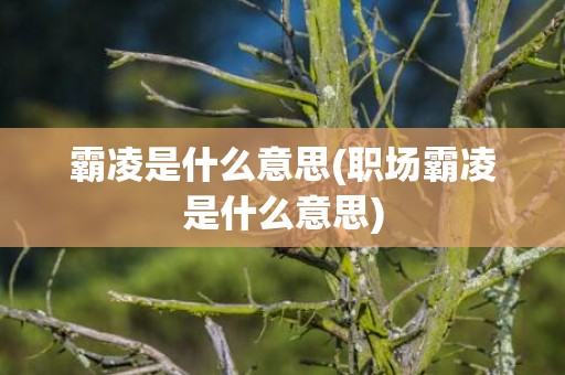 霸凌是什么意思(职场霸凌是什么意思)
