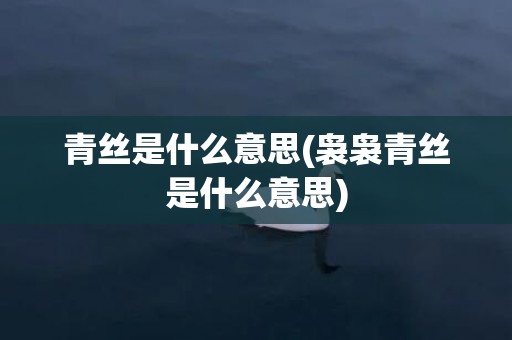 青丝是什么意思(袅袅青丝是什么意思)