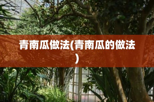 青南瓜做法(青南瓜的做法)