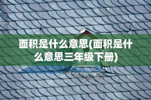 面积是什么意思(面积是什么意思三年级下册)