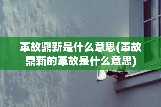 革故鼎新是什么意思(革故鼎新的革故是什么意思)