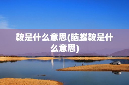 鞍是什么意思(脑蝶鞍是什么意思)