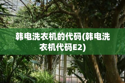 韩电洗衣机的代码(韩电洗衣机代码E2)