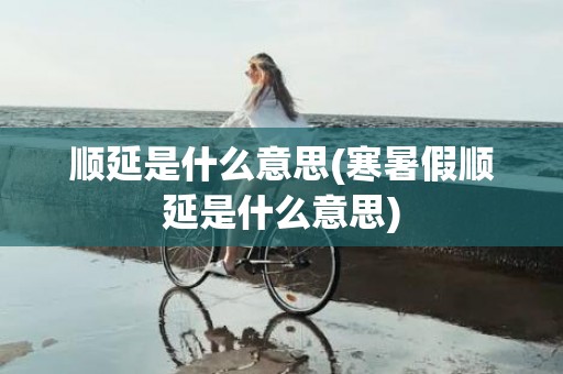 顺延是什么意思(寒暑假顺延是什么意思)