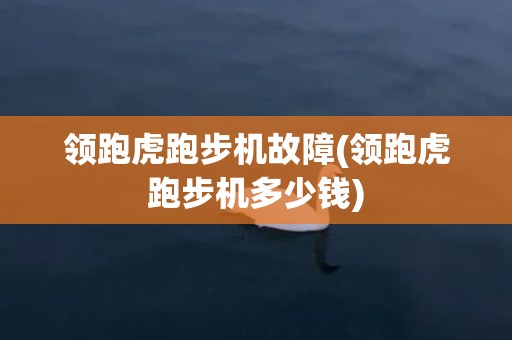 领跑虎跑步机故障(领跑虎跑步机多少钱)