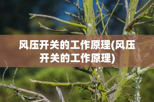 风压开关的工作原理(风压开关的工作原理)