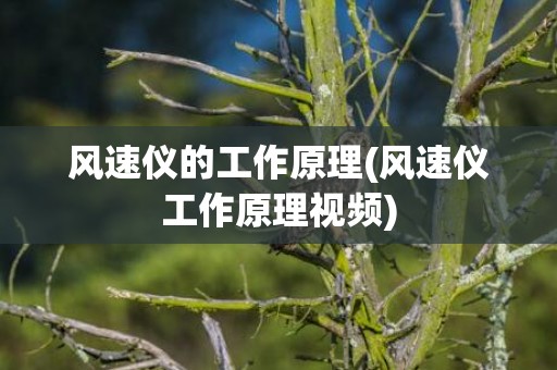 风速仪的工作原理(风速仪工作原理视频)