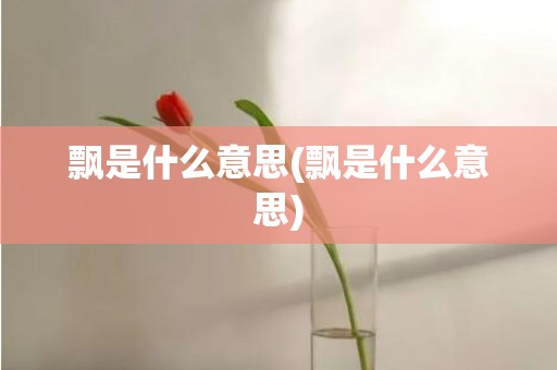 飘是什么意思(飘是什么意思)