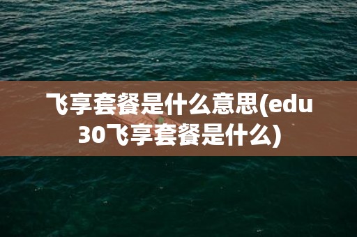 飞享套餐是什么意思(edu30飞享套餐是什么)