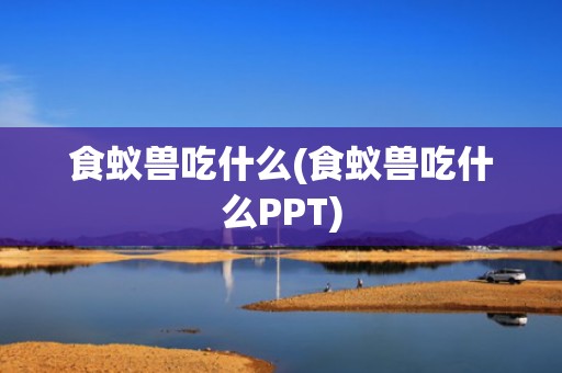 食蚁兽吃什么(食蚁兽吃什么PPT)
