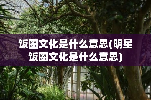 饭圈文化是什么意思(明星饭圈文化是什么意思)