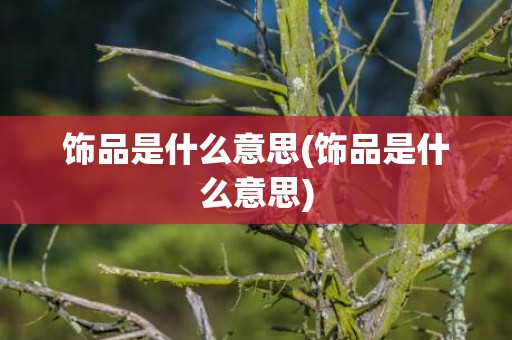 饰品是什么意思(饰品是什么意思)