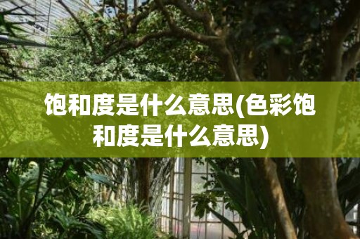 饱和度是什么意思(色彩饱和度是什么意思)