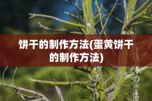 饼干的制作方法(蛋黄饼干的制作方法)
