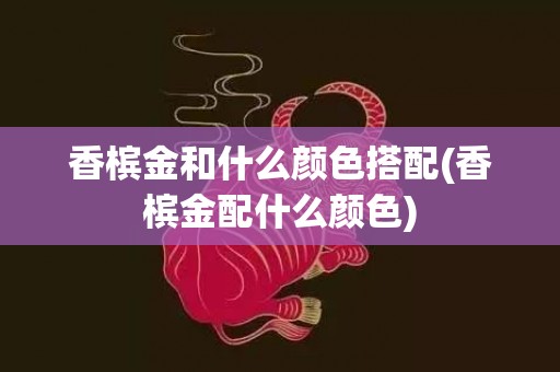 香槟金和什么颜色搭配(香槟金配什么颜色)