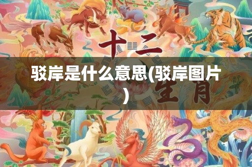 驳岸是什么意思(驳岸图片)