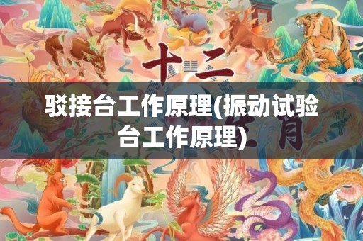 驳接台工作原理(振动试验台工作原理)