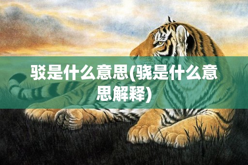 驳是什么意思(骁是什么意思解释)