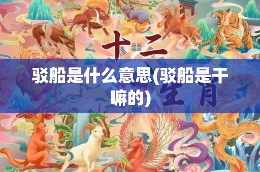 驳船是什么意思(驳船是干嘛的)