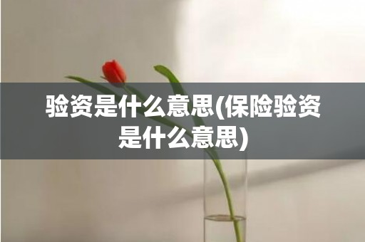 验资是什么意思(保险验资是什么意思)