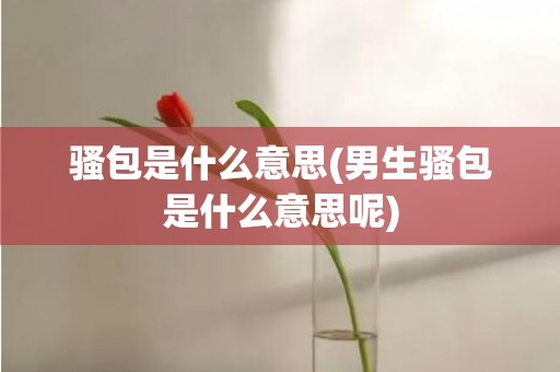 骚包是什么意思(男生骚包是什么意思呢)