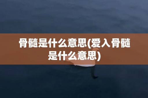骨髓是什么意思(爱入骨髓是什么意思)