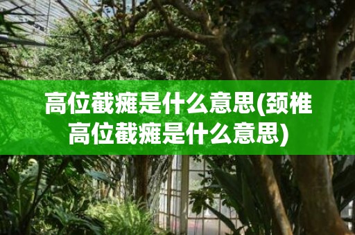 高位截瘫是什么意思(颈椎高位截瘫是什么意思)