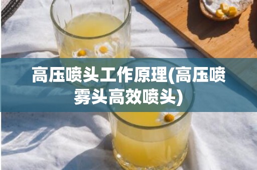 高压喷头工作原理(高压喷雾头高效喷头)