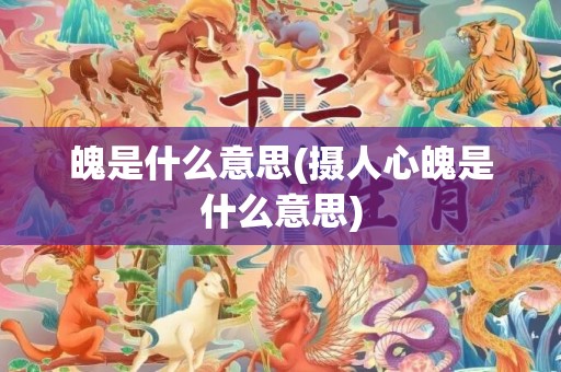 魄是什么意思(摄人心魄是什么意思)