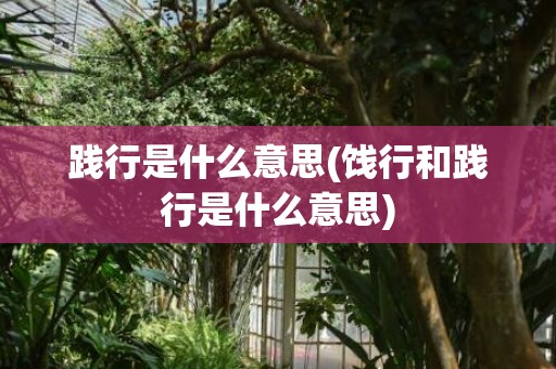 践行是什么意思(饯行和践行是什么意思)