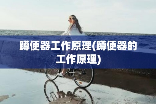 蹲便器工作原理(蹲便器的工作原理)