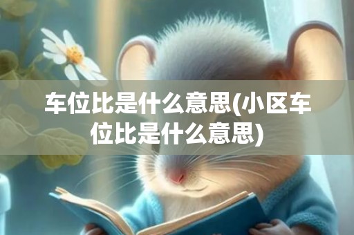 车位比是什么意思(小区车位比是什么意思)