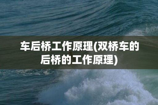 车后桥工作原理(双桥车的后桥的工作原理)