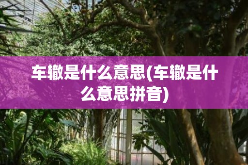 车辙是什么意思(车辙是什么意思拼音)