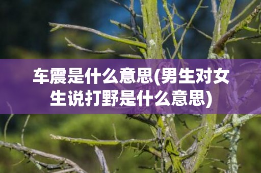 车震是什么意思(男生对女生说打野是什么意思)