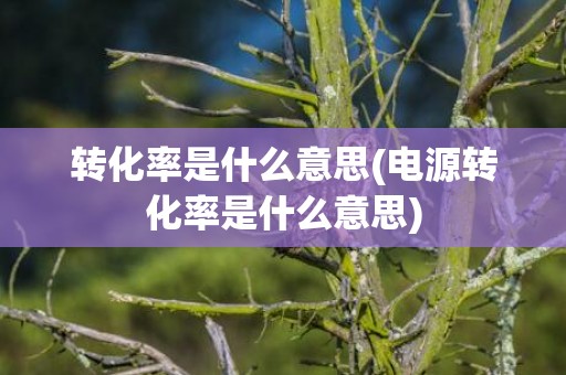 转化率是什么意思(电源转化率是什么意思)