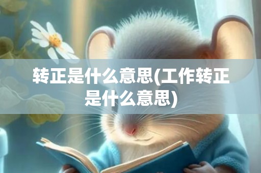 转正是什么意思(工作转正是什么意思)