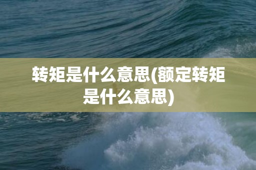 转矩是什么意思(额定转矩是什么意思)