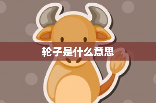 轮子是什么意思