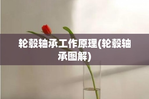 轮毂轴承工作原理(轮毂轴承图解)