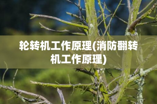 轮转机工作原理(消防翻转机工作原理)