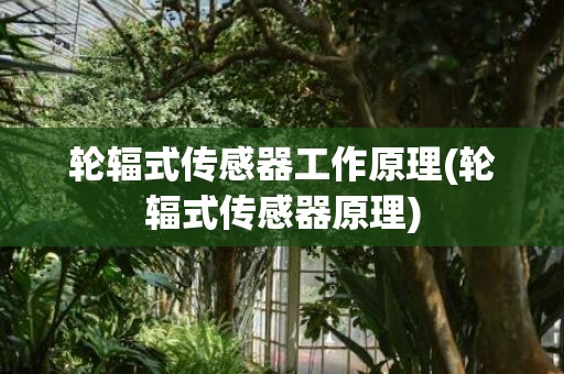 轮辐式传感器工作原理(轮辐式传感器原理)