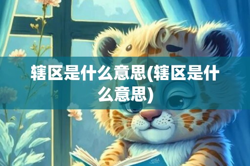 辖区是什么意思(辖区是什么意思)