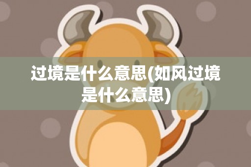 过境是什么意思(如风过境是什么意思)