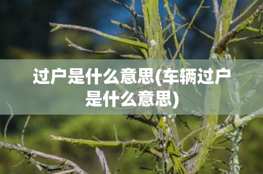 过户是什么意思(车辆过户是什么意思)