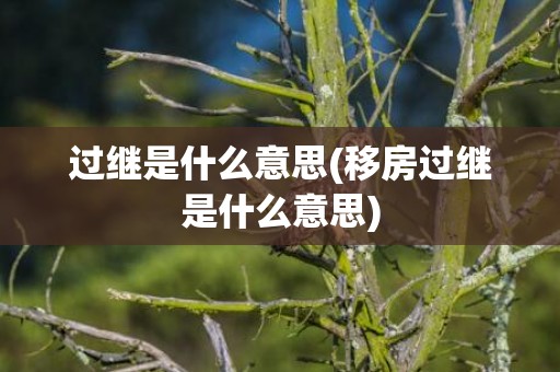 过继是什么意思(移房过继是什么意思)