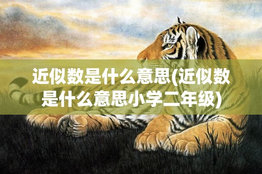 近似数是什么意思(近似数是什么意思小学二年级)