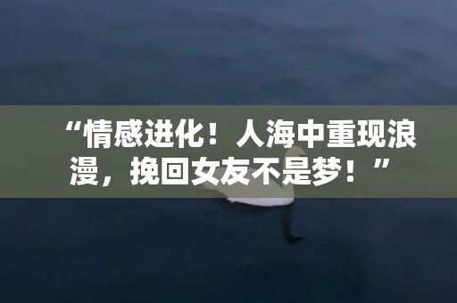 “情感进化！人海中重现浪漫，挽回女友不是梦！”