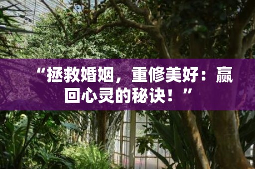 “拯救婚姻，重修美好：赢回心灵的秘诀！”