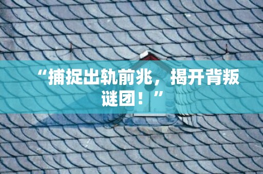 “捕捉出轨前兆，揭开背叛谜团！”